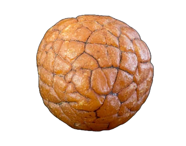A polished sphere of baltic succinite from the Samland deposit.
