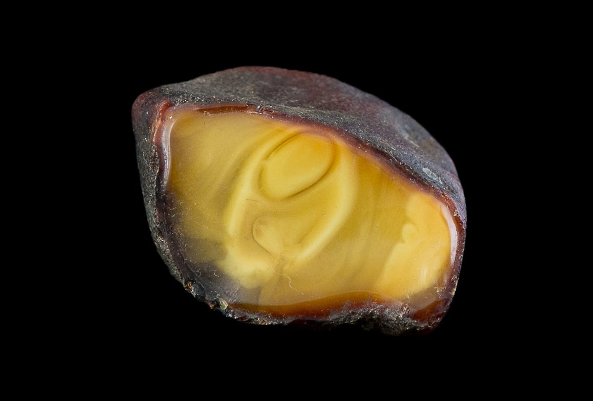 Bernstein im Königsberger Facettenschliff, geöffnetes Stück mit milchig-gelbem Inneren auf dunklem Hintergrund