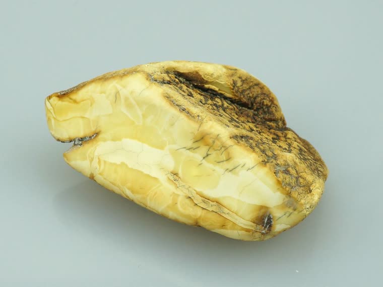 Seltenes weißmarmoriertes baltisches Rohbernstein-Stück mit Patina-Kruste auf der einen Seite und natürlichem Anschnitt der die marmorierte cremig-elfenbeinene Innenstruktur zeigt, SBM-Premium-Kategorie aus Marcel Querls Sammler-Bestand