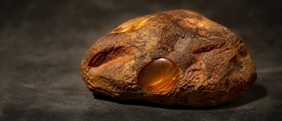 Rohbernstein-Klumpen mit charakteristischer rotbrauner Patina-Kruste und kleinem poliertem Anschnitt-Fenster, durch das die innere Honig-Cognac-Färbung sichtbar wird, Studio-Aufnahme zur Demonstration des typischen Inklusen-Fenster-Patterns
